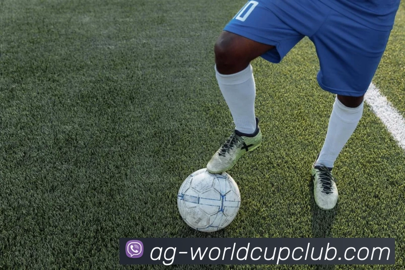 App Interface Preview